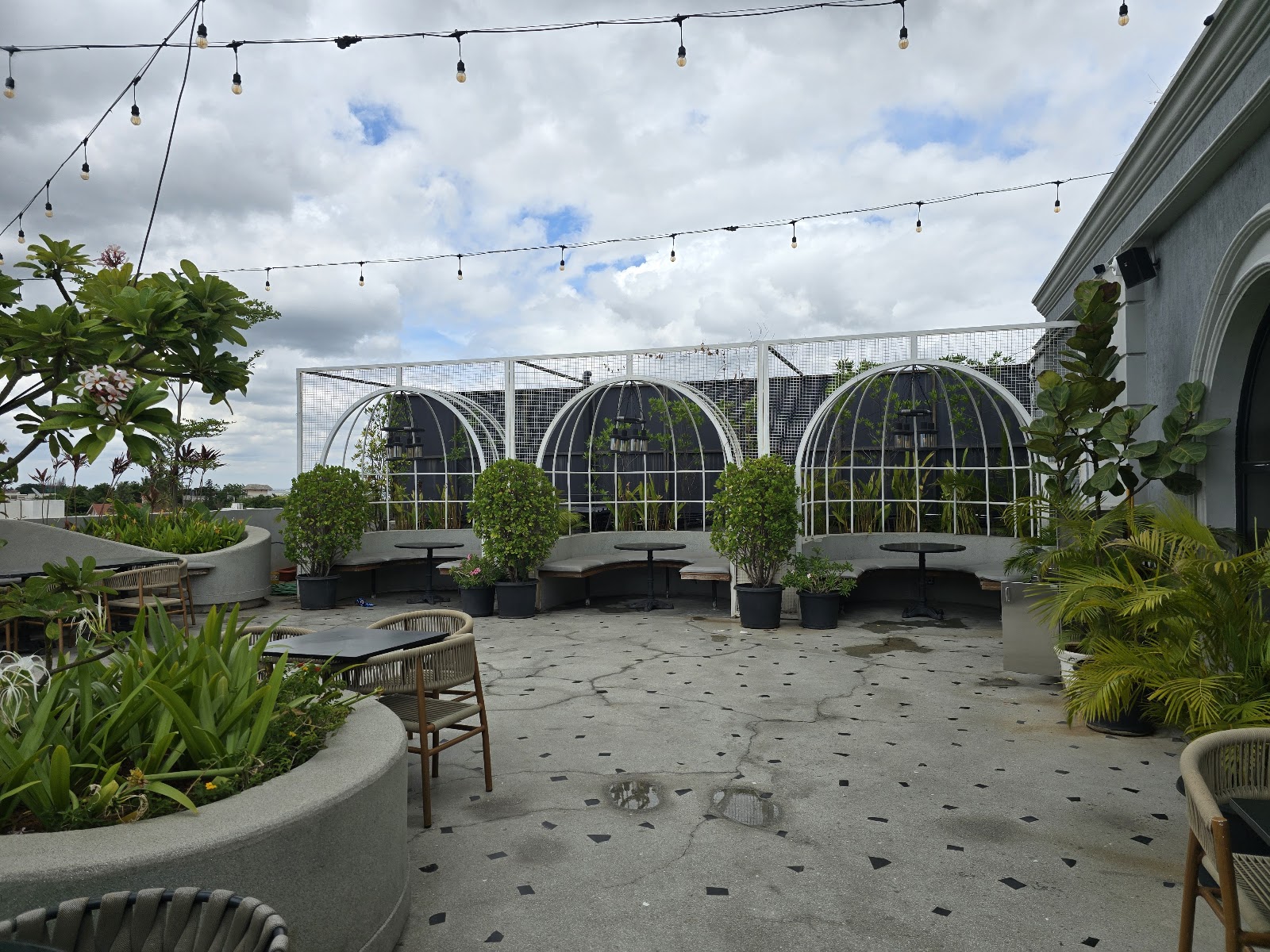 Afternoon rooftop